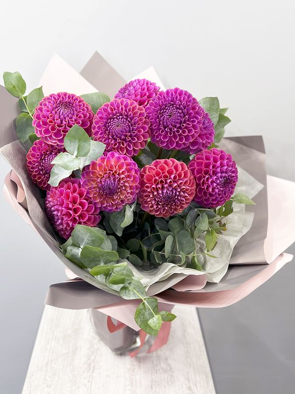 Pink dahlias