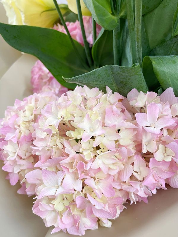 A bouquet of eustoma and hydrangea