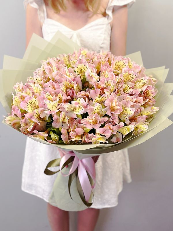 Pink alstroemerias
