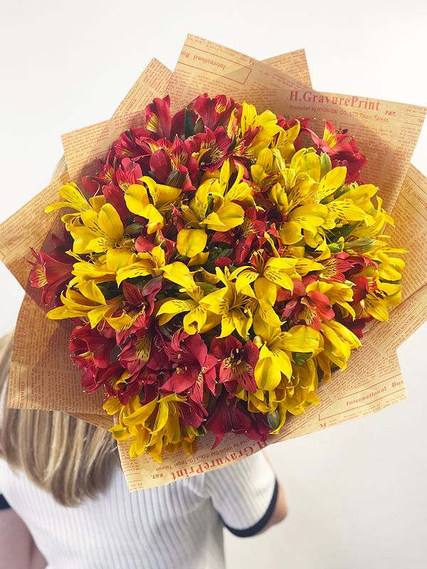 Red and yellow alstroemeria
