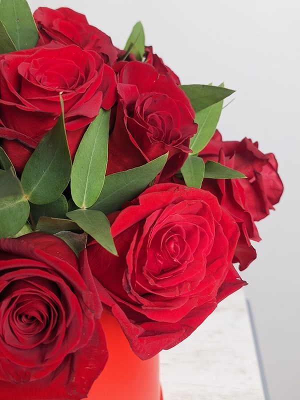 20 red roses in a box