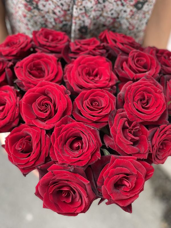 18 Red Roses in a black box