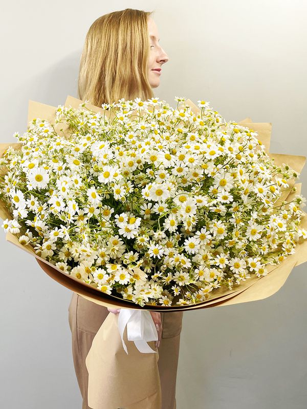 Sea of ​​daisies