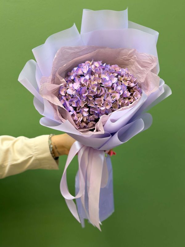 Гортензия фиолетовая 1 шт , арт. 278