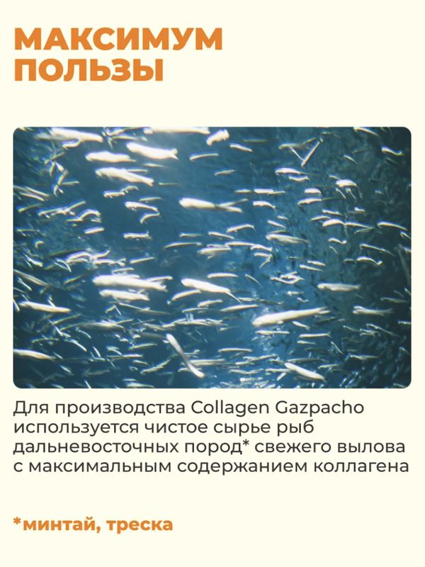 Коллаген морской пептидный Гаспачо