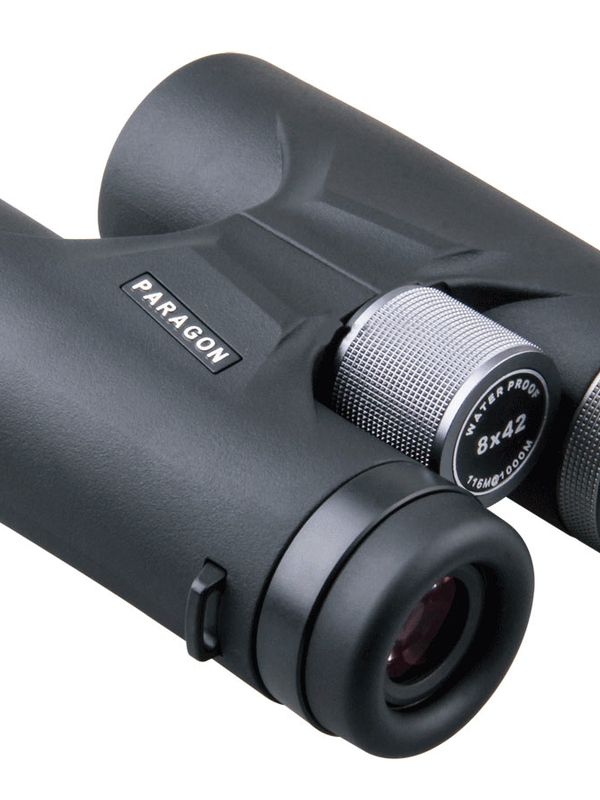 Бинокль Vector Optics Paragon 8x42, Roof-призмы BaK-4, IPX6, чёрный