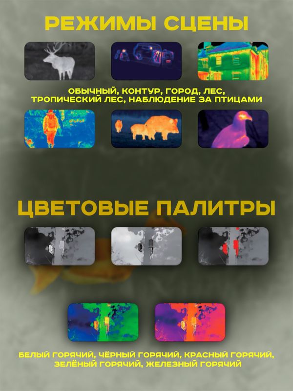 Тепловизионный монокуляр Hunter HR215 256х192, AI 384x288, D15, WiFi