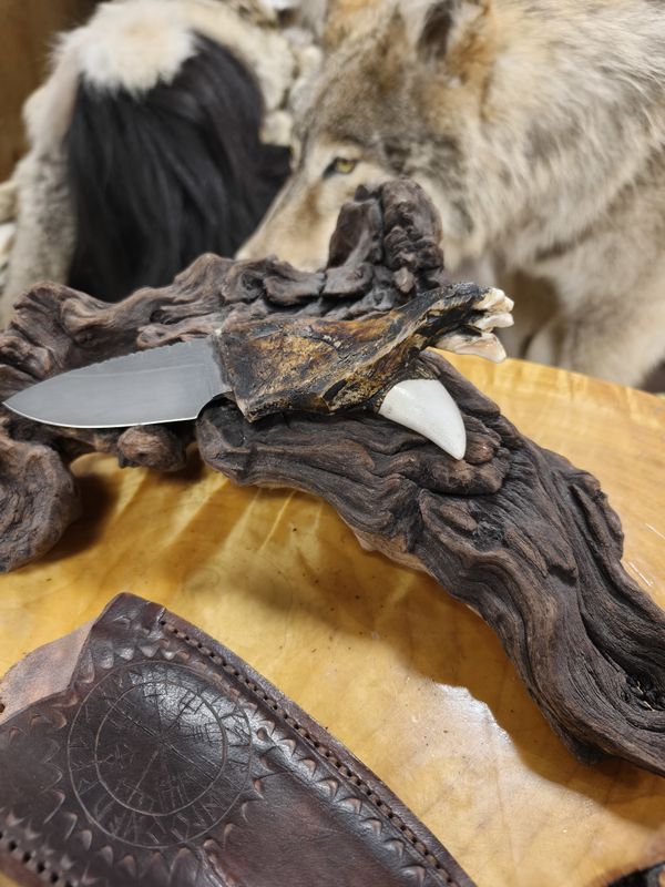 Нож с верхней челюсти медведя под правую руку