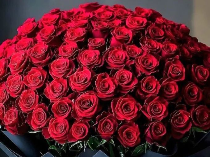 ❤️ АКЦИЯ НА КРАСНЫЕ РОЗЫ ❤️