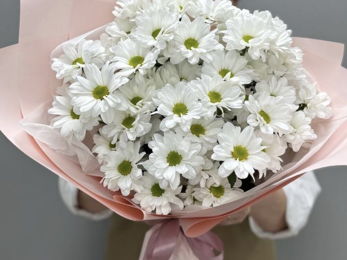 🌸АКЦИЯ НА ХРИЗАНТЕМЫ🌸