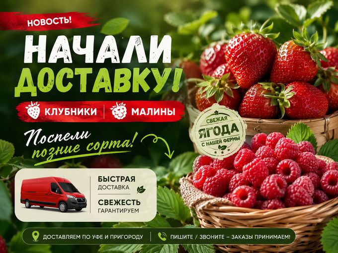 🍓 СНОВА СВЕЖИЕ ЯГОДЫ — НАЧАЛИ ДОСТАВКУ!