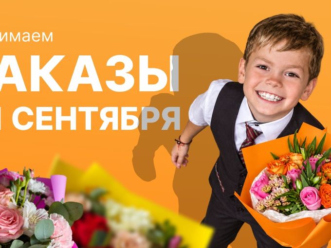 Мы открываем предзаказ 😃