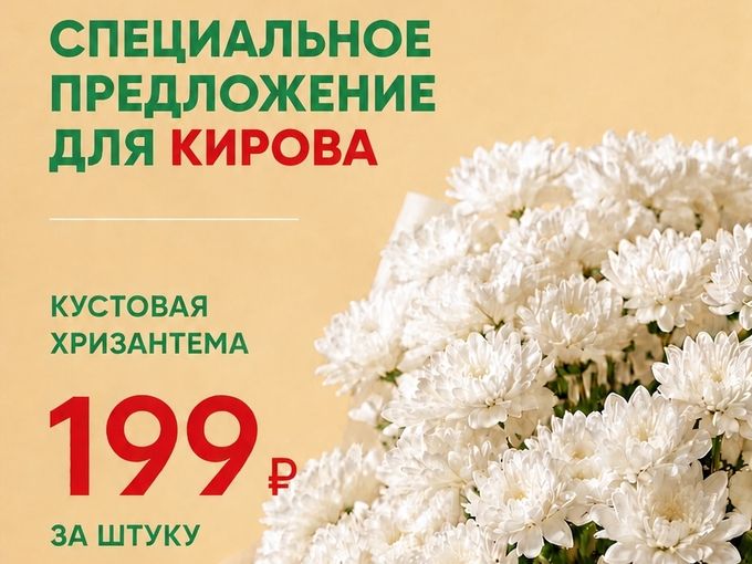 Хризантема за 199 руб.