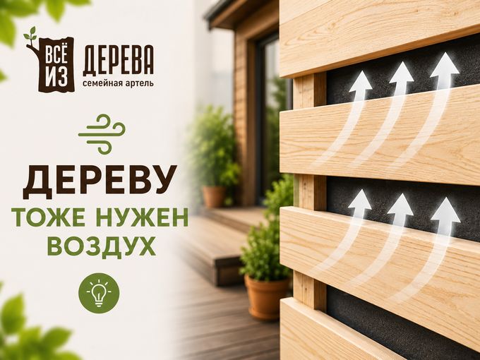 🌬️ Дереву тоже нужен воздух