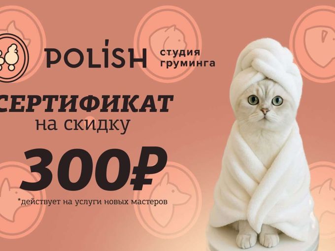 Сертификат на груминг за любую покупку🤑