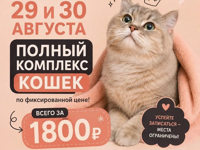 Полный комплекс для кошек ВЫГОДНО