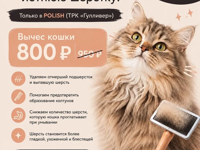 Время вычесать летнюю шерстку ВЫГОДНО