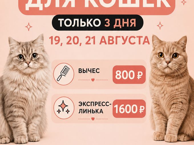 Избавляем ВЫГОДНО от лишней шерсти