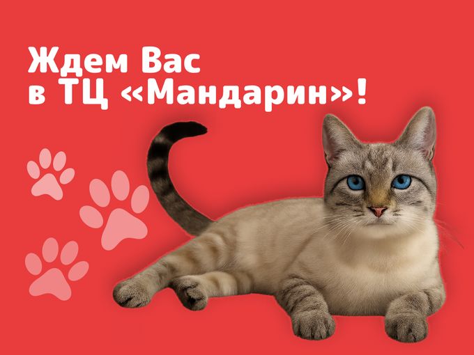 Новый магазин "Корма56" в Степном🤩🥳