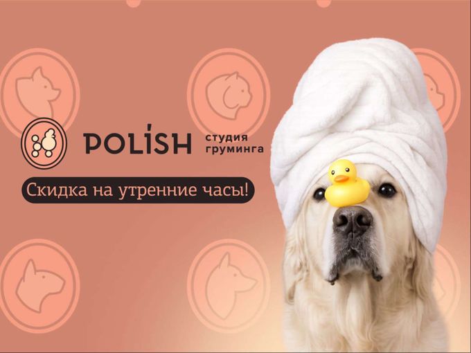 Скидка 300р на утренние процедуры🐶🛁