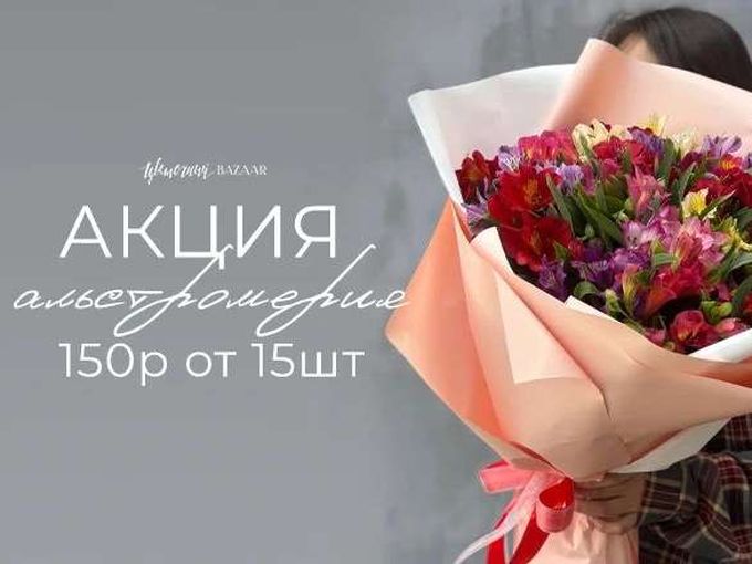 Альстромерия 150р 💥