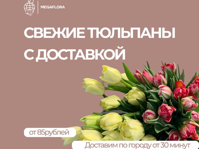 Свежие тюльпаны от 85 рублей