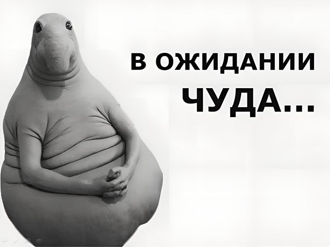 😱 Нет мест