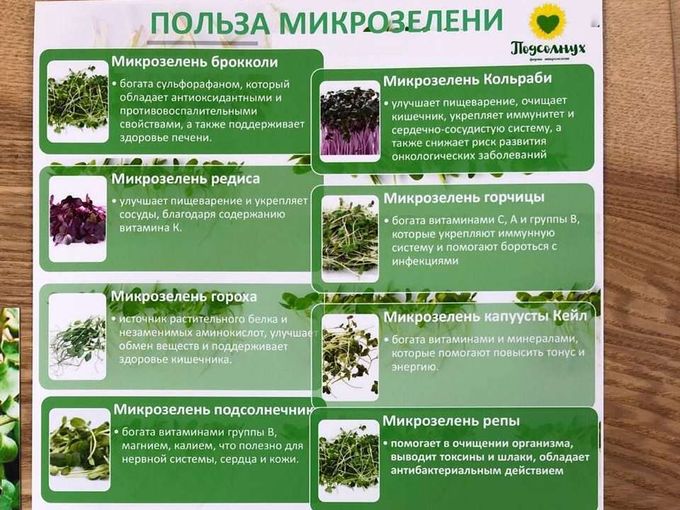 польза микрозелени