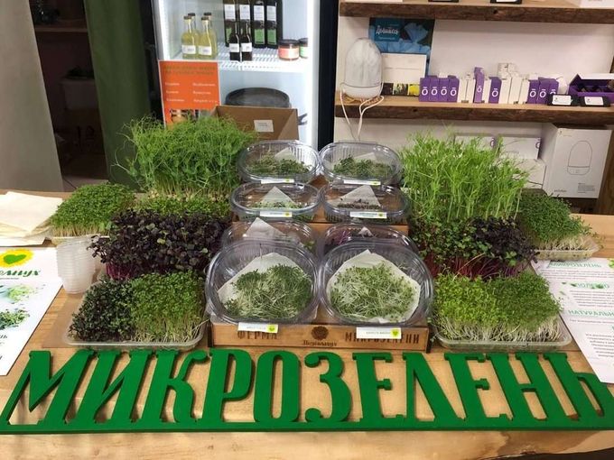 МИКРОЗЕЛЕНЬ ДЕГУСТАЦИЯ
