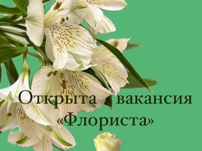 Наша команда в поисках флориста!!!