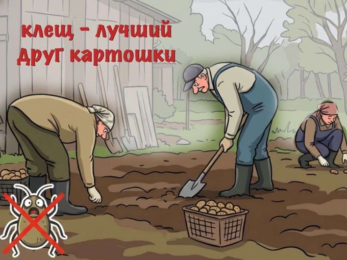 Как получить выплату ЗА КЛЕЩА