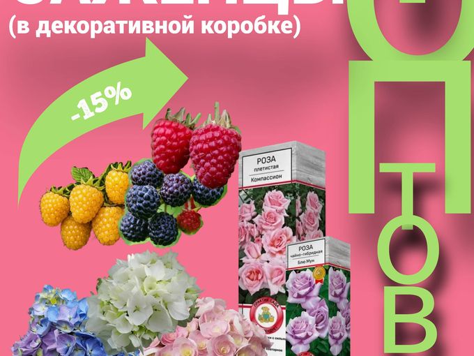 СКИДКА -15% НА ТОП-ТОВАРЫ НЕДЕЛИ! 🔥