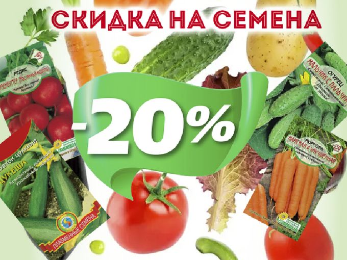 🔥 Скидка 20% на ВСЕ семена!