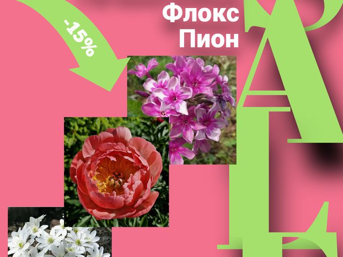 🔥 Ловите выгоду на этих выходных! 🔥