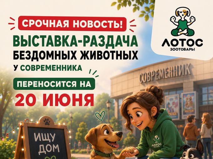 Раздача животных переносится 🚨