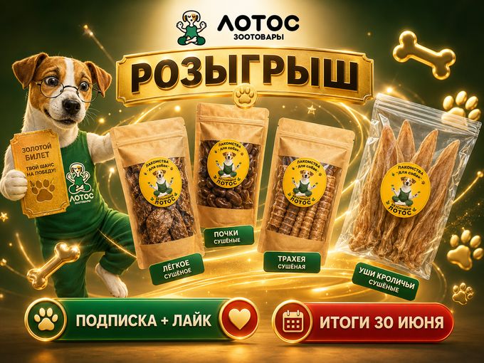 Розыгрыш от Лотос😃🎉