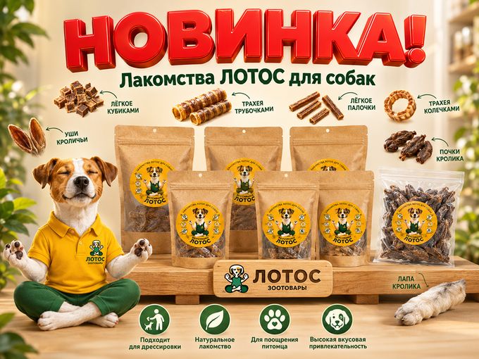 Лакомства от Лотос😋