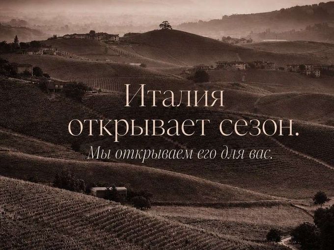ОТКРЫВАЕТСЯ СЕЗОН БЕЛОГО ТРЮФЕЛЯ