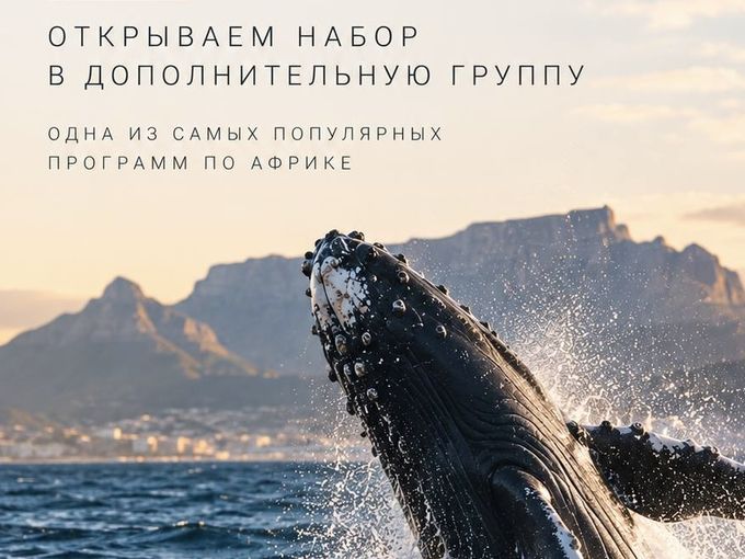 ЮАР в сезон китов 🐋 😱