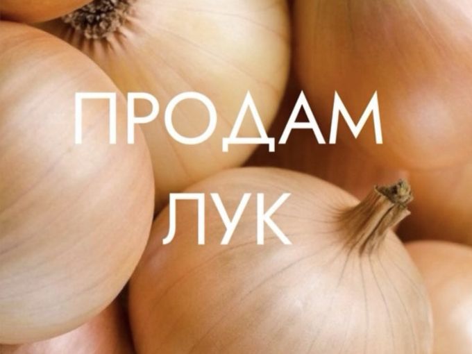 НАШ ЛУК ВЫСТАВЛЕН НА ПРОДАЖУ!!!УСПЕВАЙТЕ
