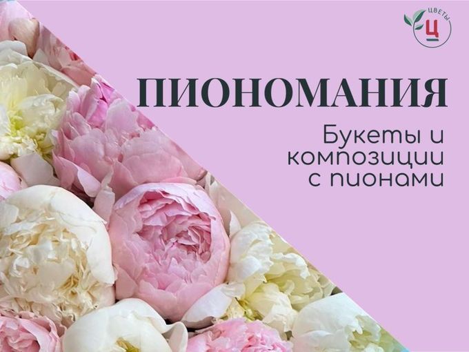 🌹 ПИОНОМАНИЯ ПРОДОЛЖается!🌹