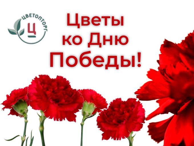 🌹 СВЕЖИЕ ЦВЕТЫ к ПРАЗДНИКУ 🌹