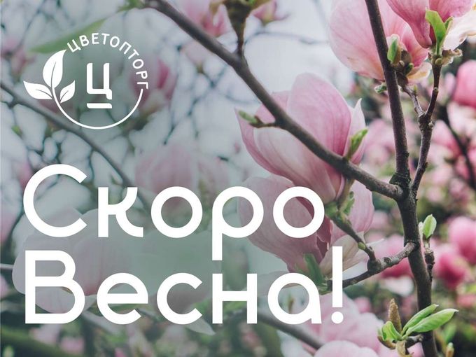 💐 СКОРО ВЕСНА 💐