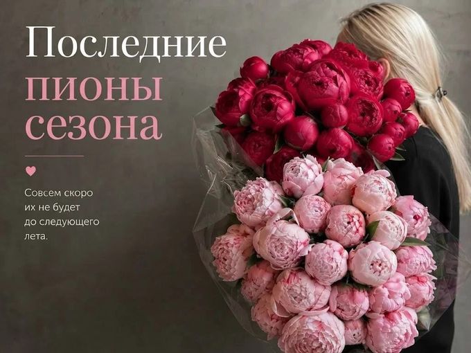 🌸 ПИОНЫ УХОДЯТ ДО СЛЕДУЮЩЕГО ЛЕТА…