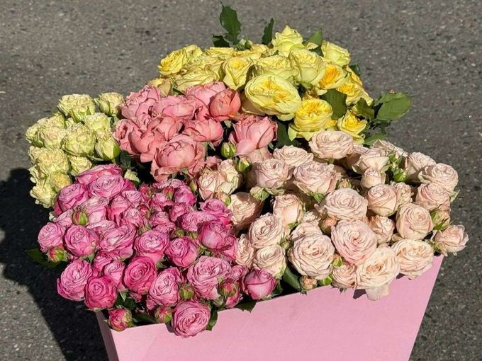 🌸 ВАШИ БОНУСЫ УЖЕ ЖДУТ ВАС!