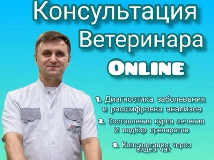 Для владельцев домашних питомцев :)