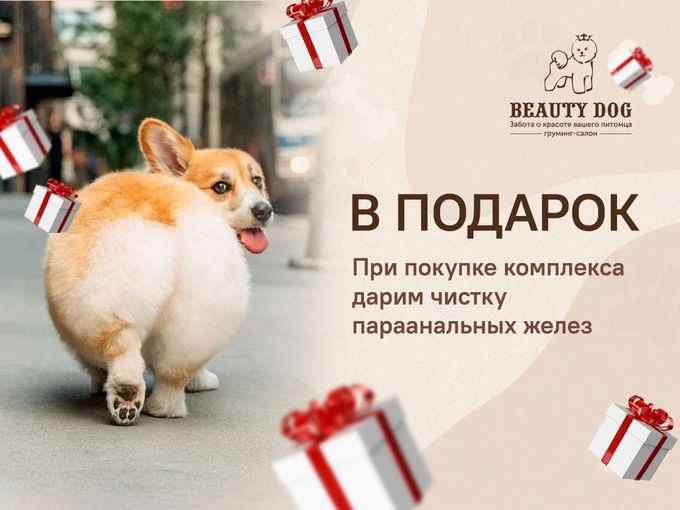ПОДАРОК