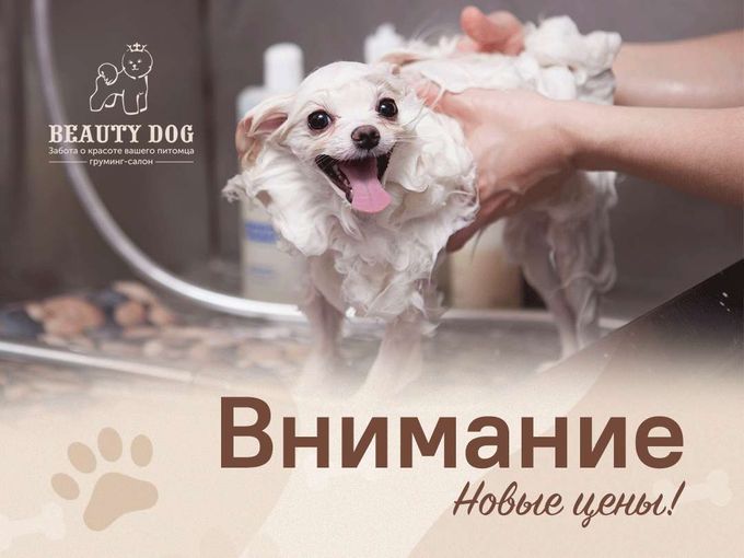 ВНИМАНИЕ! НОВЫЕ ЦЕНЫ