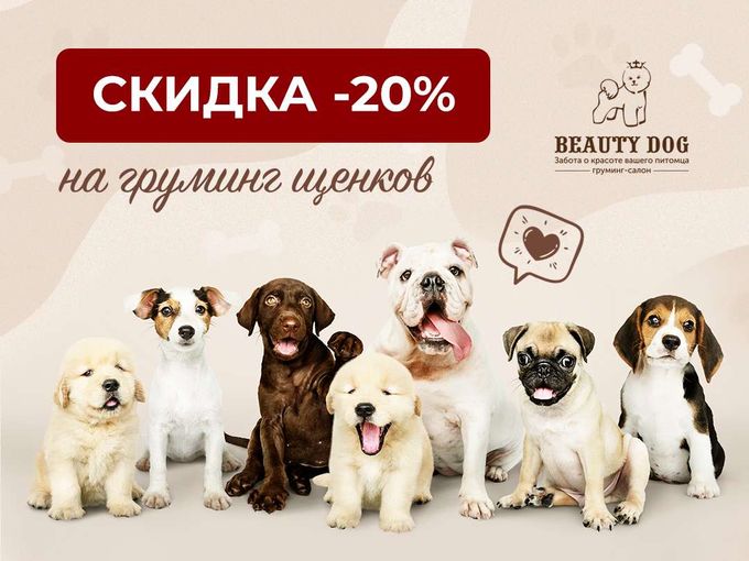 Груминг Щенков - 20%