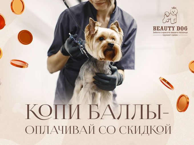 Как стричь собак с выгодой?
